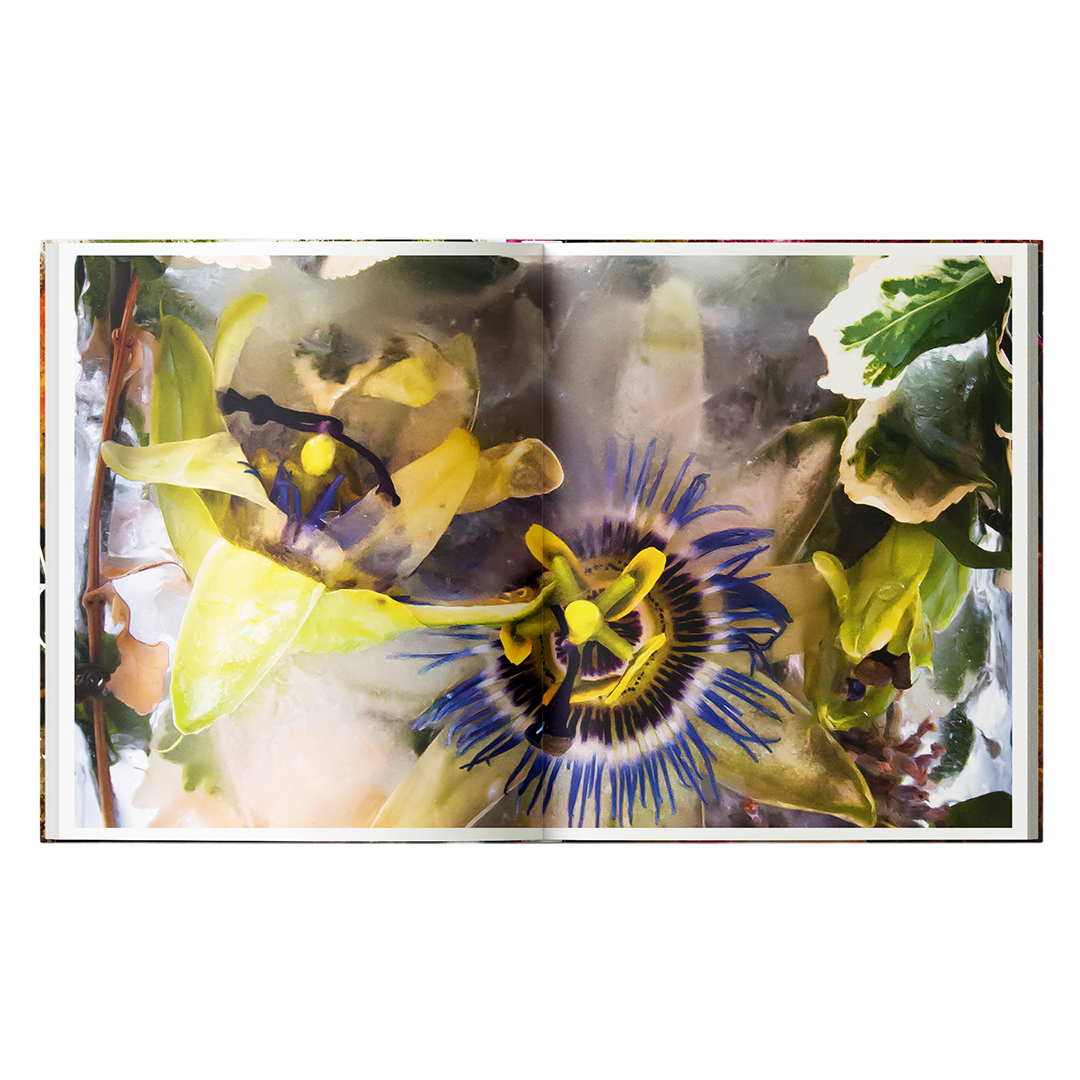 FLORA_0000s_0001_BDP_Flora_Inners_008