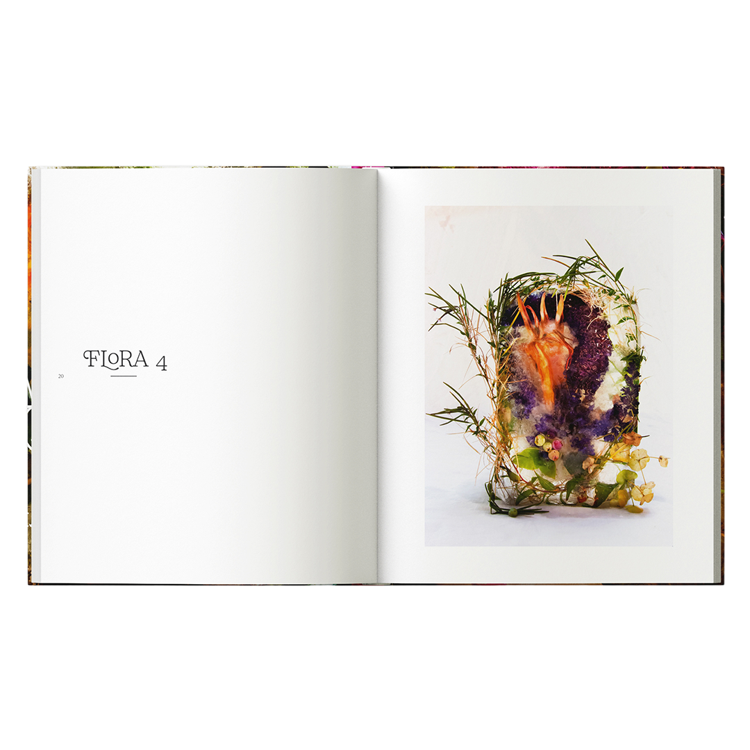 FLORA_0000s_0002_BDP_Flora_Inners_004